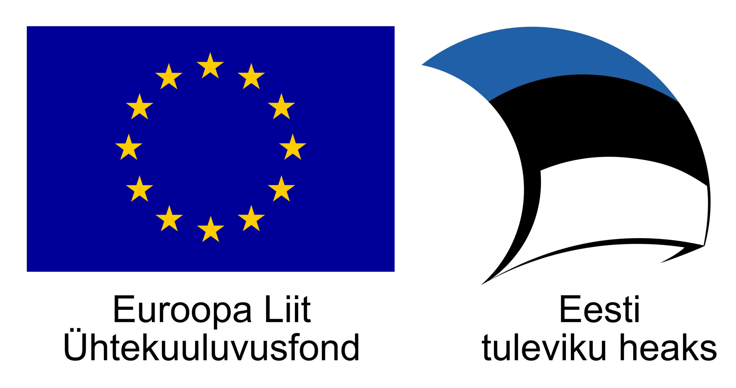 Täiskasvanute digibaasoskuste koolitused 2025. aastal